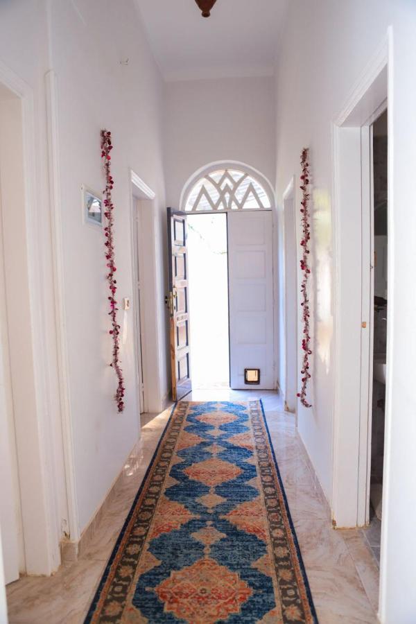 Luxor Oasis Guest House Luaran gambar