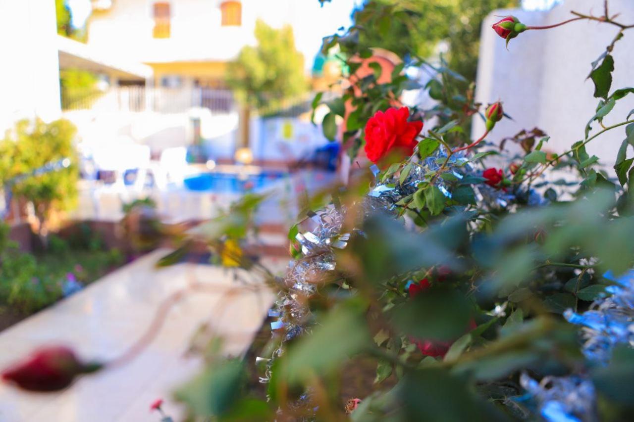Luxor Oasis Guest House Luaran gambar